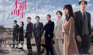 不期而至电视剧剧情