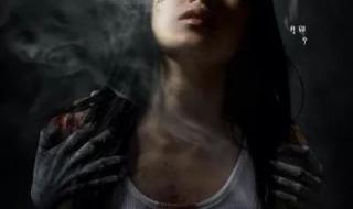 二十大观后感800字 二十大观后感800字