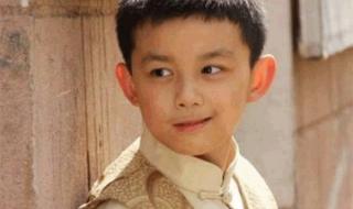 天涯赤子心片尾曲 天涯赤子心片尾曲