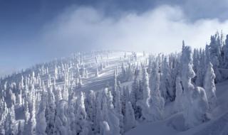 冬天最暖心短句文案五个字 立冬发朋友圈暖心短句