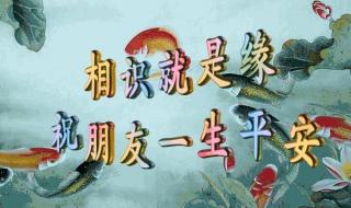 说一个人独一无二好还是无与伦比好 世上独一无二的你