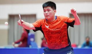 全运会2016乒乓球男单冠军 2016年里约奥运会男子乒乓球单打冠亚季军